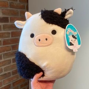 NWT Squishmallow Connor